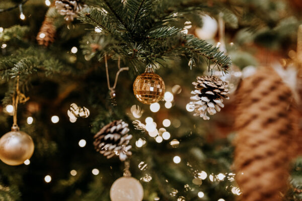 Christmas Party Ticket