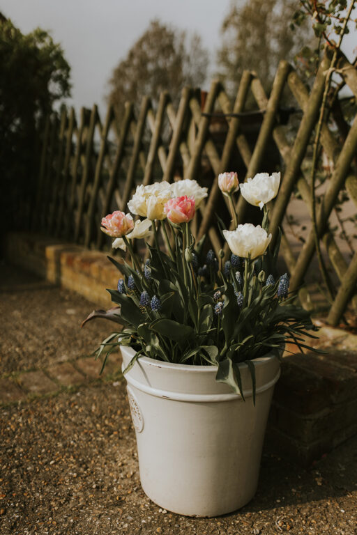 Spring flowers coming through on the terrace at countryside wedding venue The Ferry House in Kent.